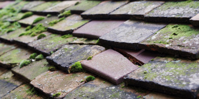Hose roof repair costs